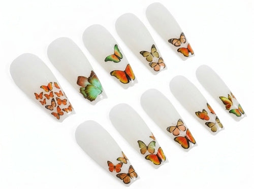 waterslide decals Australia