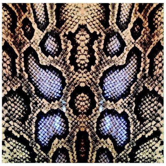 Nail Hug Boa Boa nail sticker