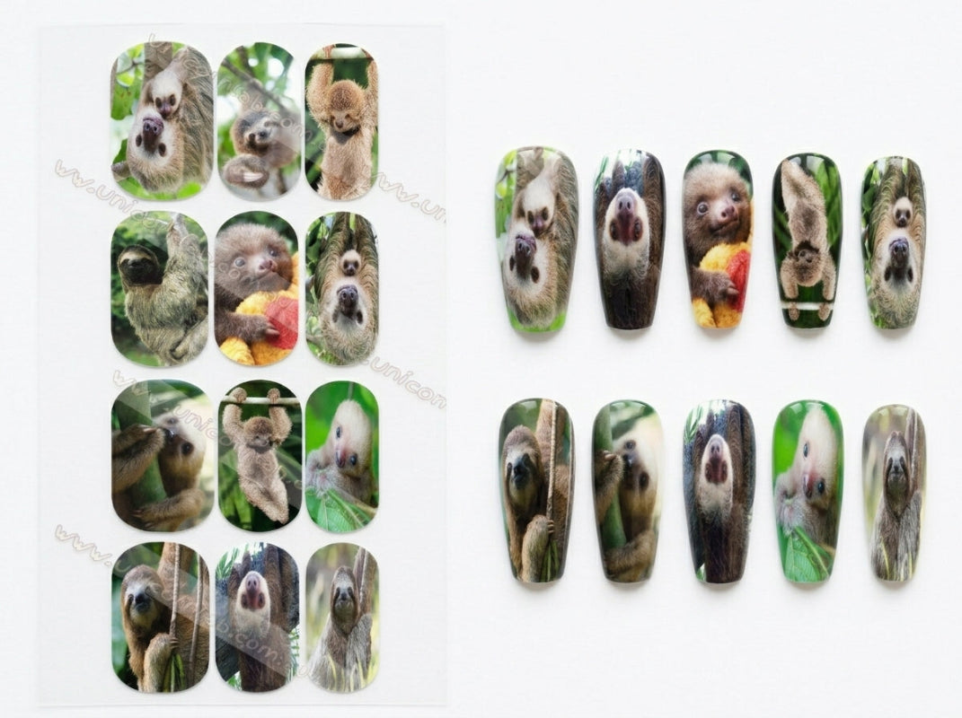 waterslide decals Australia