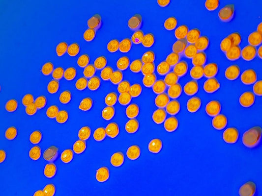 Neon Orange SS6 (Unicorn Lab Rhinestones) - Unicorn Lab