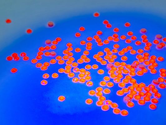 Neon Hyacinth SS6 (Unicorn Lab Rhinestones) nail crystals The original Shimmer Cuticle Oil – Handcrafted in Melbourne since 2017 – First cuticle oil droppers to hit the Australian market