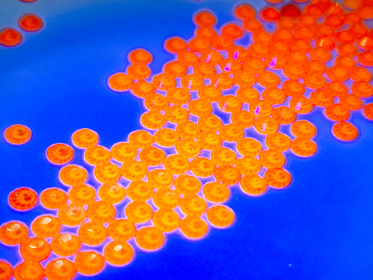 Neon Hyacinth SS10 (Unicorn Lab Rhinestones)