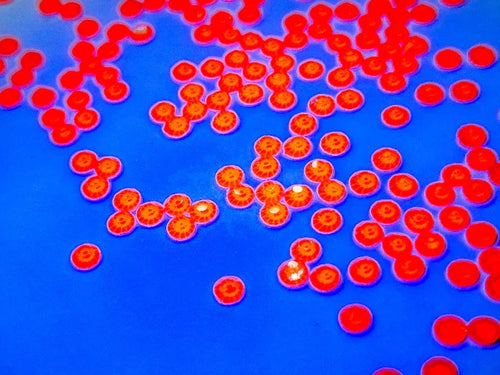 Neon Orange SS10 (Unicorn Lab Rhinestones) - Unicorn Lab