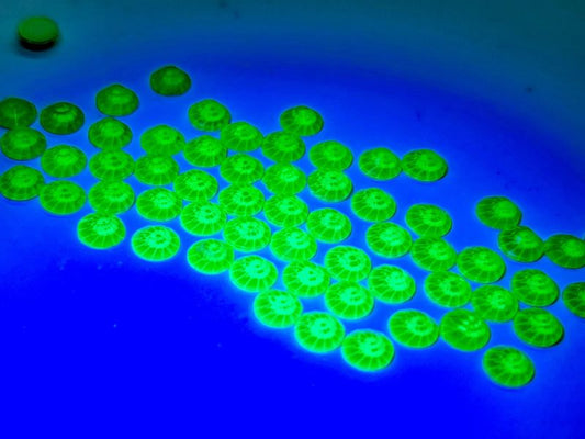 Neon Green SS16 Rhinestones for Nail Art - Unicorn Lab