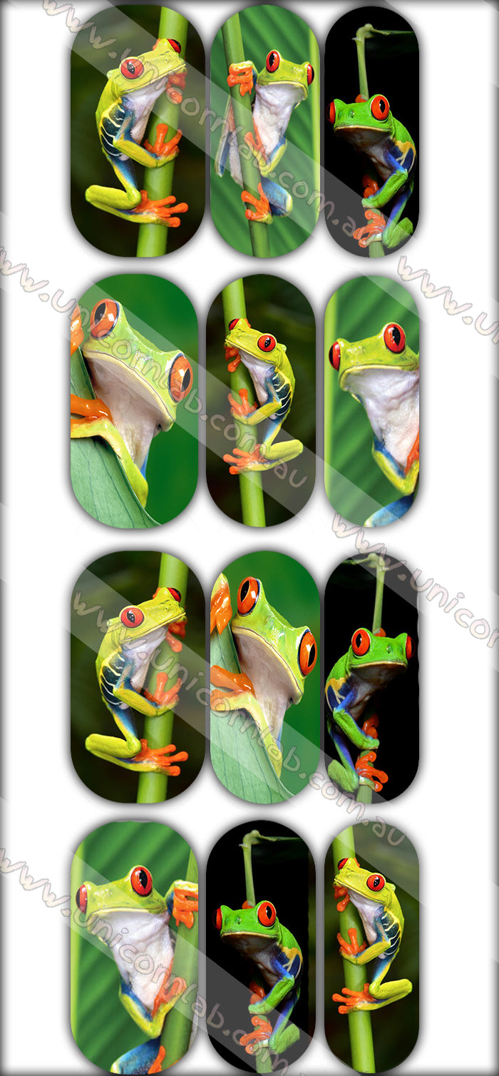 Frog Waterslide Decals waterslide decal