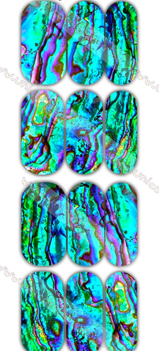 Abalone Shell Waterslide Decals waterslide decal