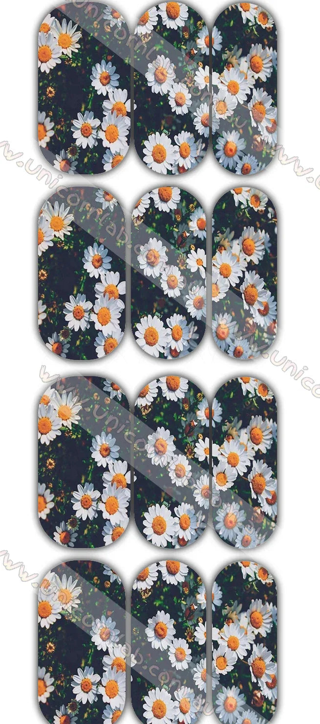 Daisy Waterslide Decals - Unicorn Lab