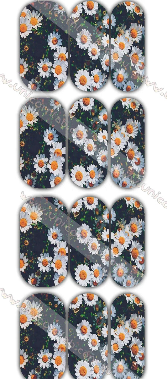 Daisy Waterslide Decals - Unicorn Lab