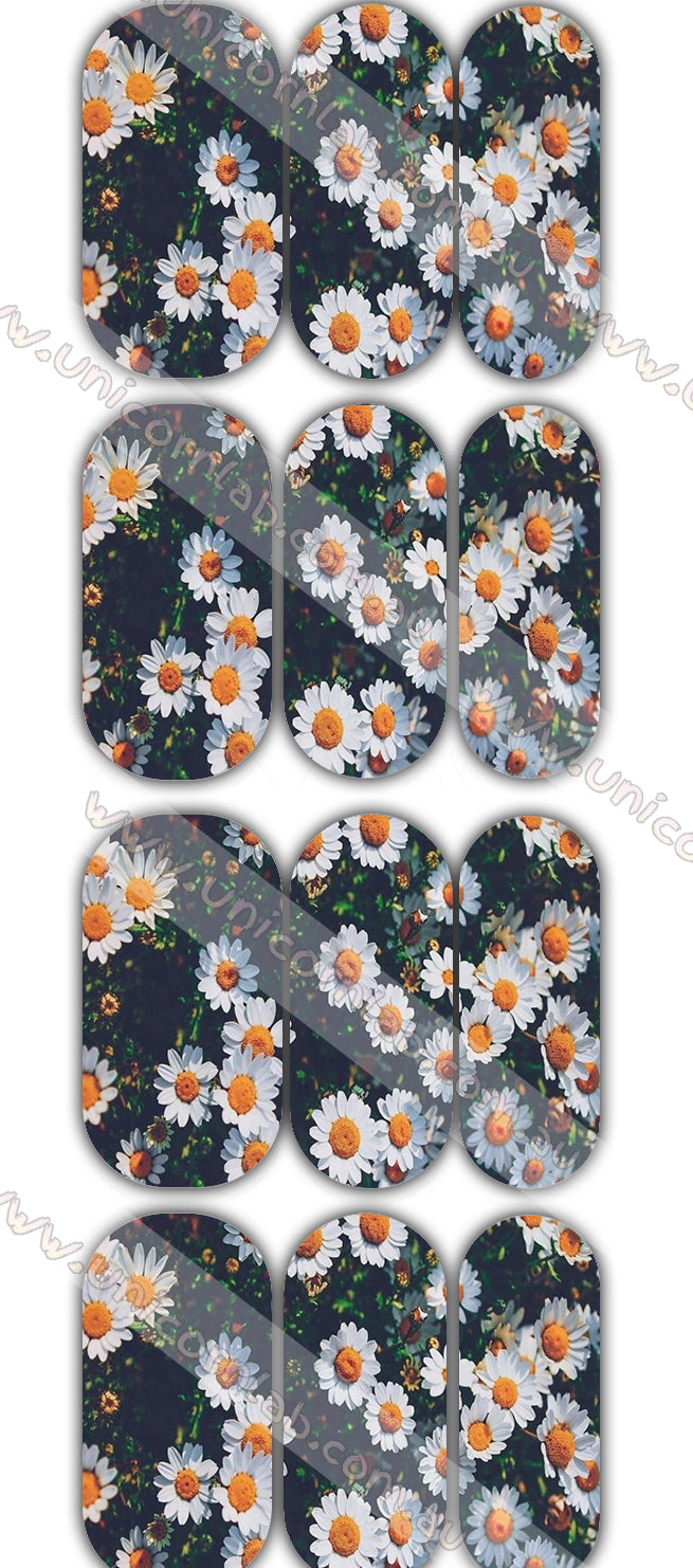 Daisy Waterslide Decals waterslide decal